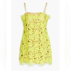 Cult Gaia Shaunez macramé mini dress